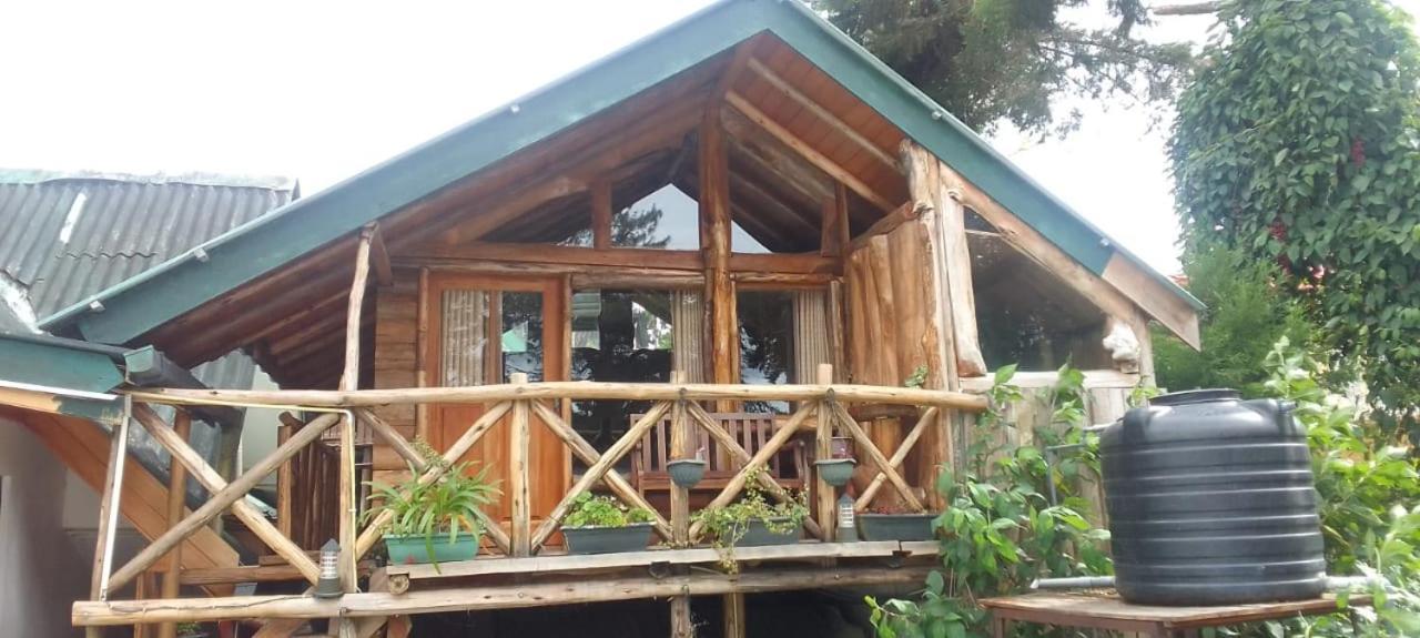 Eco Creations Wooden Cottage 누와라 엘리야 외부 사진