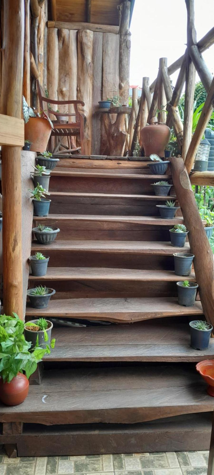 Eco Creations Wooden Cottage 누와라 엘리야 외부 사진
